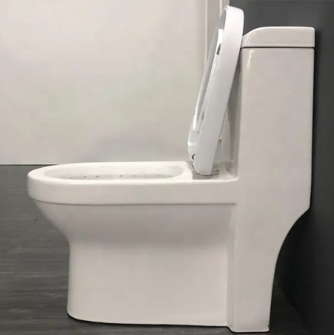 One-Piece Toilet Bowl 2133– White, High-Efficiency Dual Flush with Soft-Close Seat