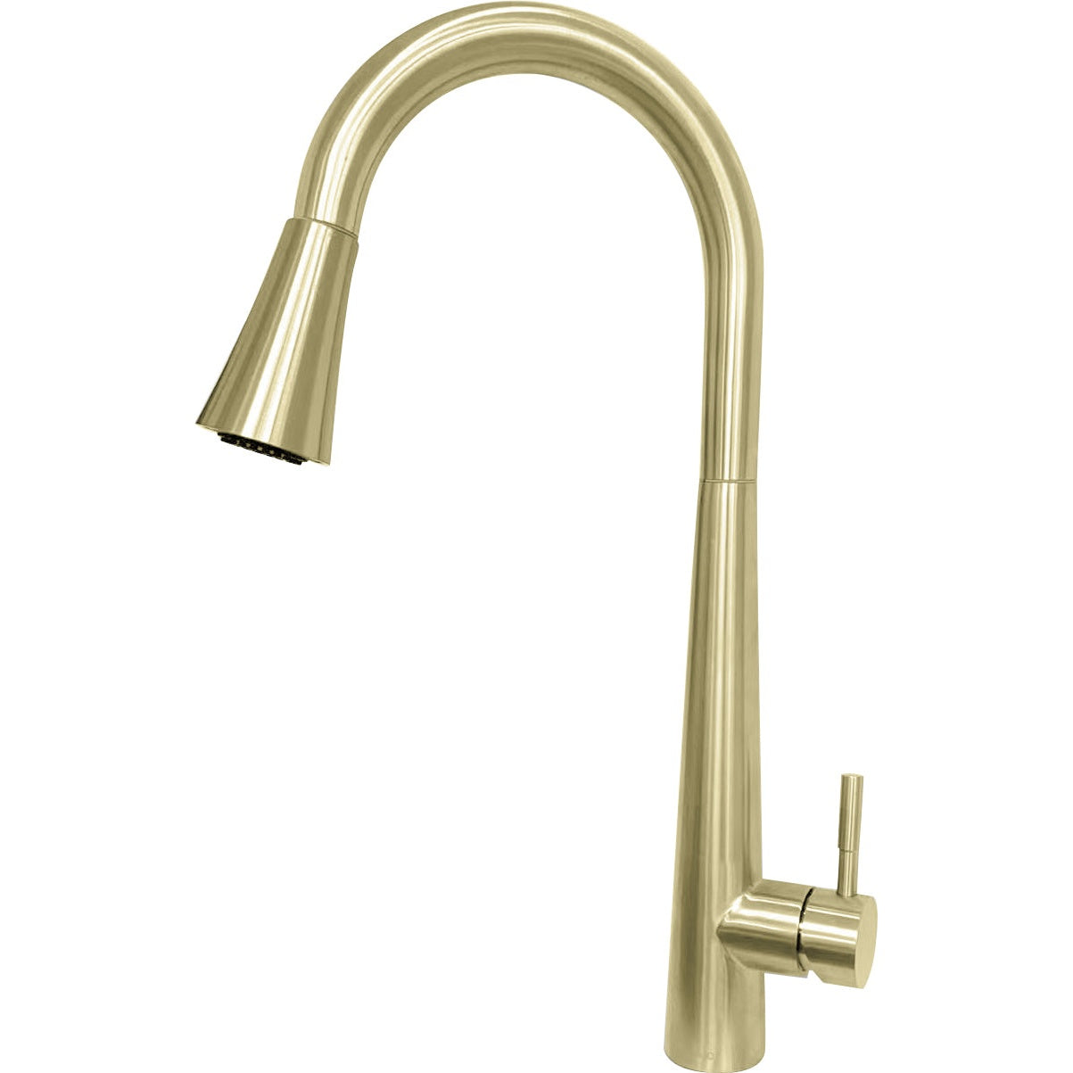 Pull-Down Kitchen Faucet CM55040