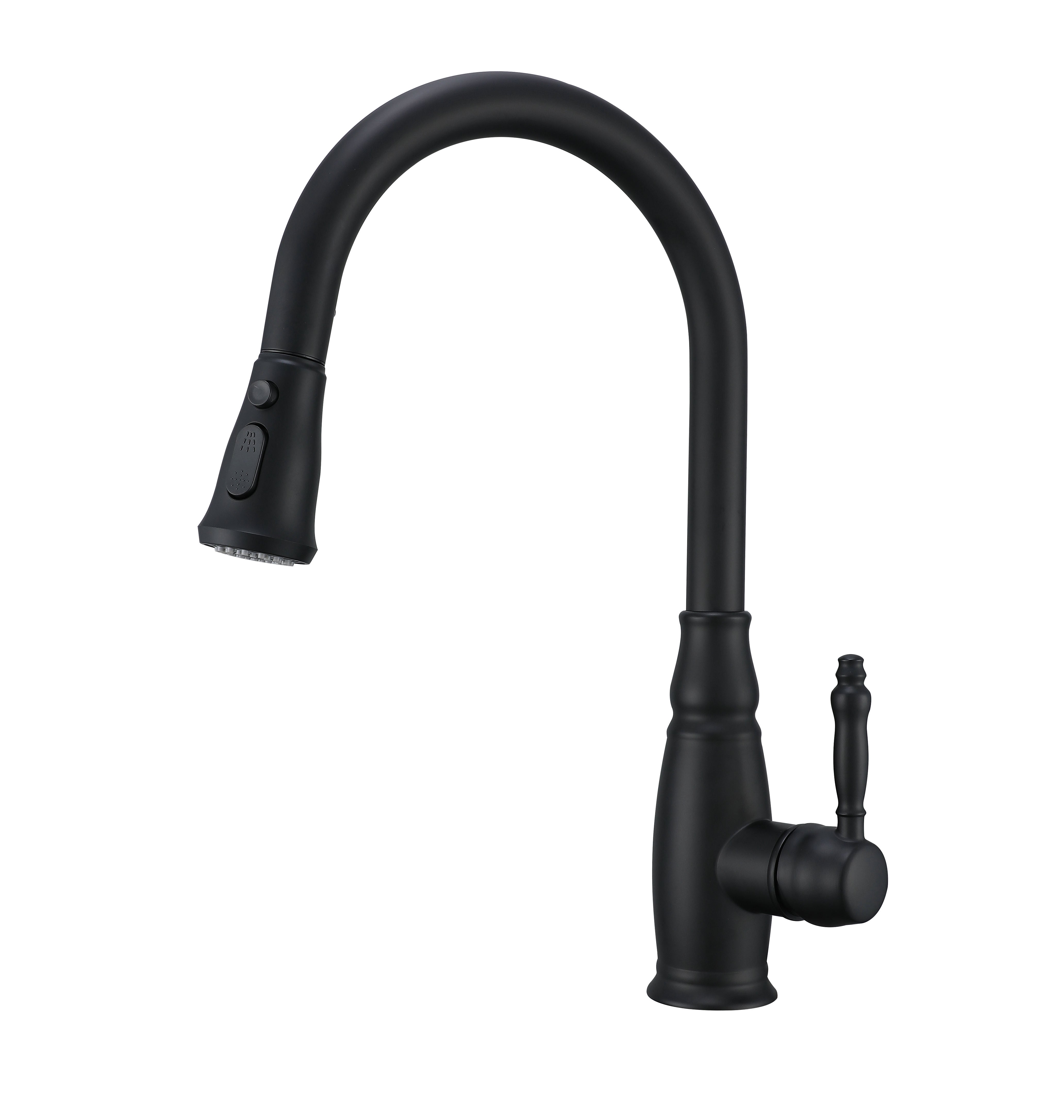 Pull-Down Kitchen Faucet CM02172