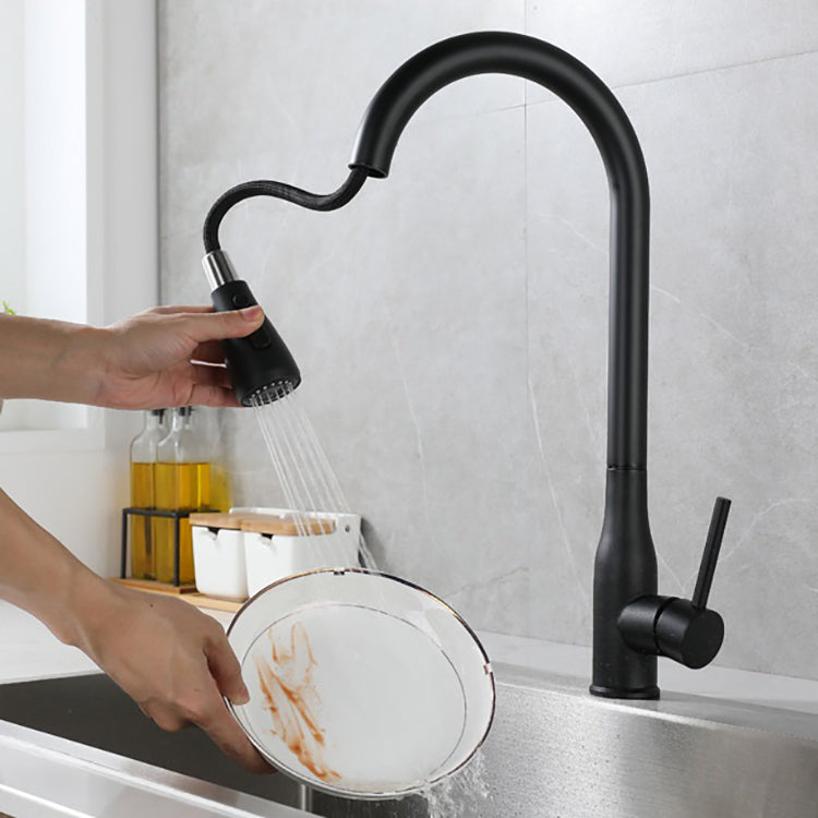 Pull-Down Kitchen Faucet CM55042