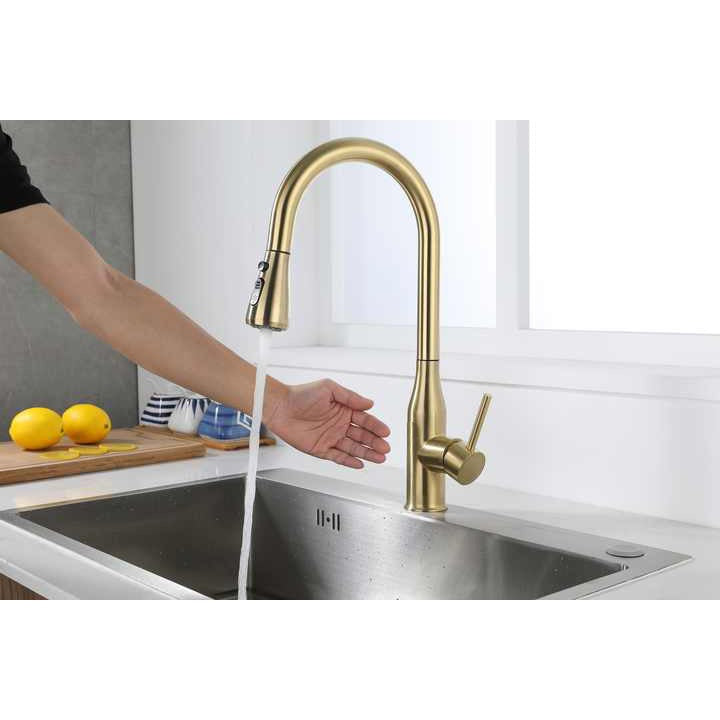 Pull-Down Kitchen Faucet CM55042