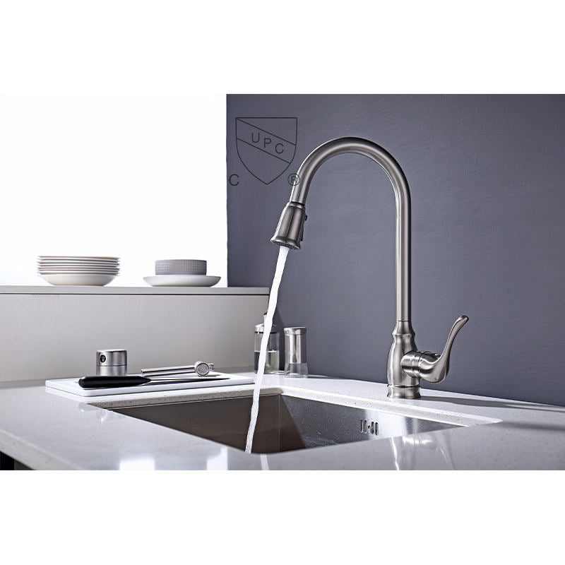 Pull-Down Kitchen Faucet CZ805102