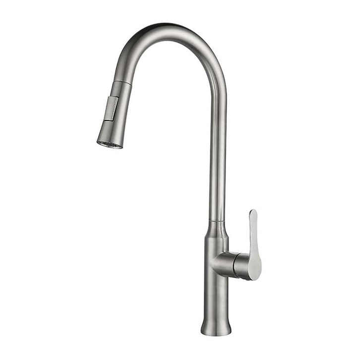 Pull-Down Kitchen Faucet CM02266