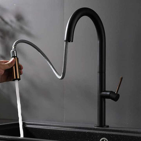 Pull-Down Kitchen Faucet CM2159-1MA