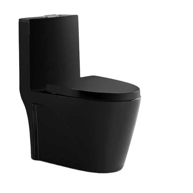 One-Piece Toilet Bowl 0382MB – Black, High-Efficiency Dual Flush with Soft-Close Seat