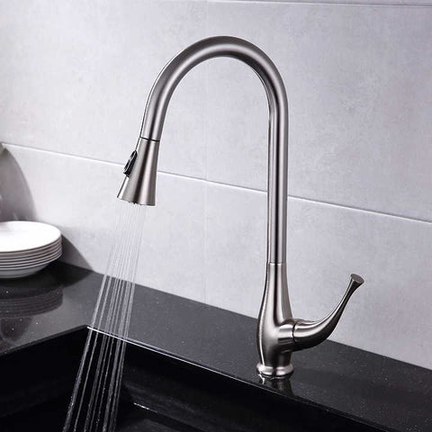 Pull-Down Kitchen Faucet CM2003