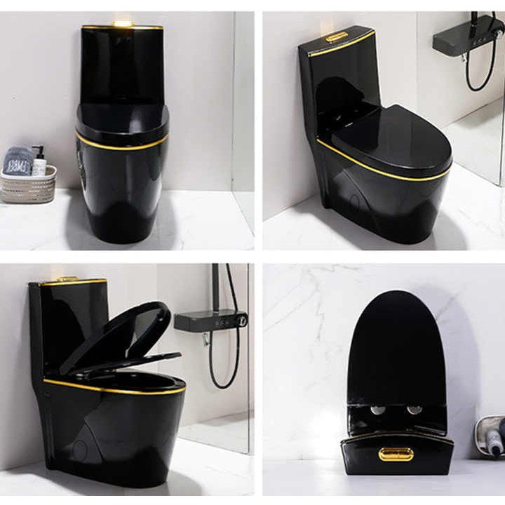 One-Piece Toilet Bowl 8616BG – Black/Gold, High-Efficiency Dual Flush with Soft-Close Seat