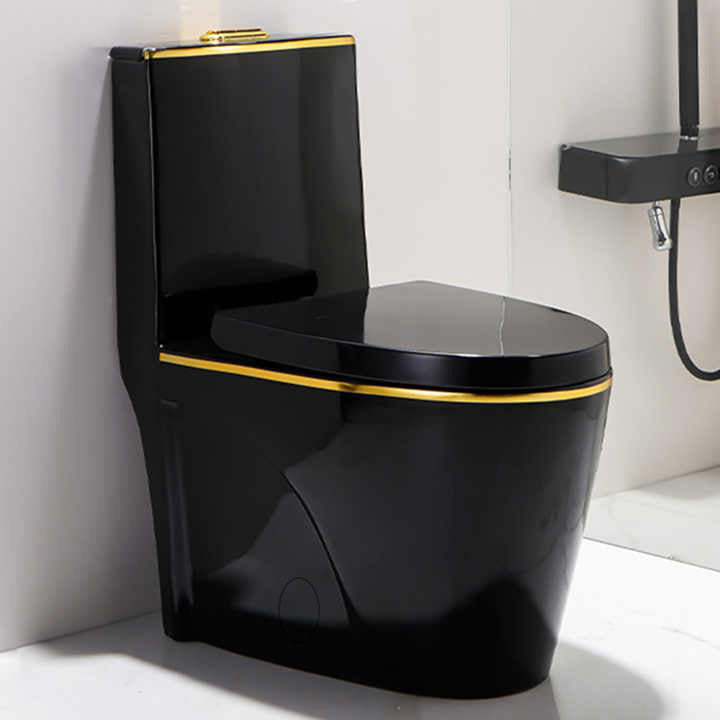 One-Piece Toilet Bowl 8616BG – Black/Gold, High-Efficiency Dual Flush with Soft-Close Seat