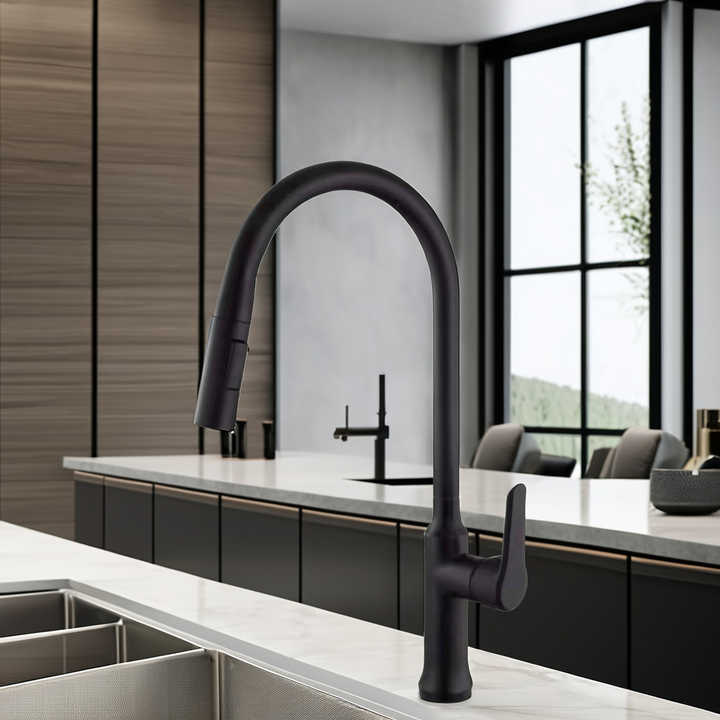 Pull-Down Kitchen Faucet CM02266