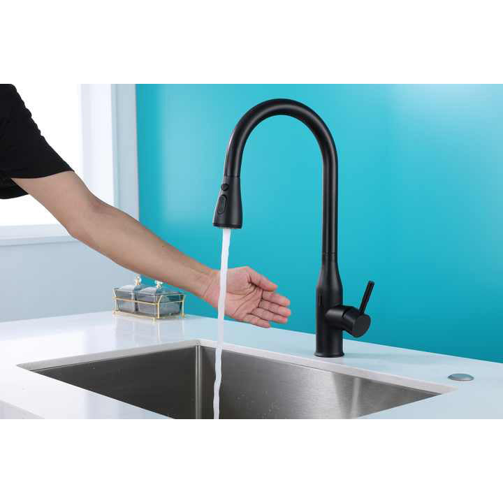 Pull-Down Kitchen Faucet CM55042