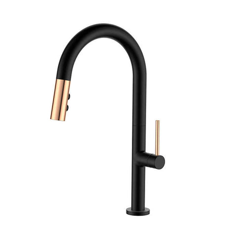 Pull-Down Kitchen Faucet CM2159-1MA