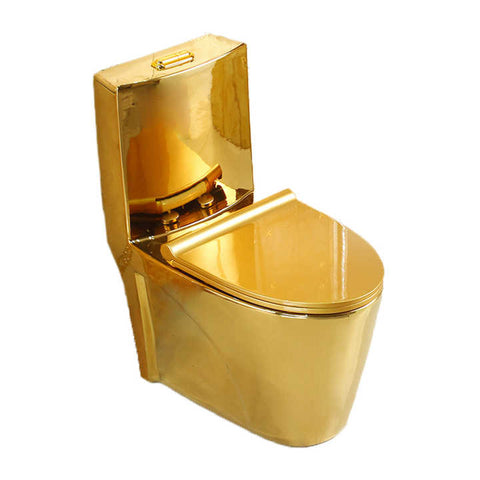 One-Piece Dual-Flush Toilet Bowl – Gold, High-Efficiency Flush with Soft-Close Seat T6002-G