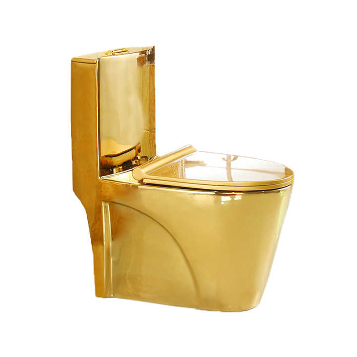 One-Piece Dual-Flush Toilet Bowl – Gold, High-Efficiency Flush with Soft-Close Seat T6002-G